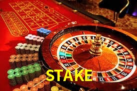 STAKE Indicadores de vuelo
